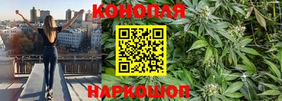 сатива Малоярославец