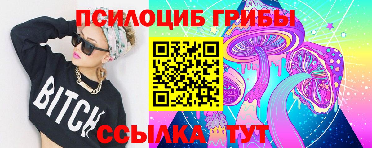 Александров  Галлюциногенные грибы GOLDEN TEACHER  сколько стоит  Галлюциногенные грибы GOLDEN TEACHER  Вход с VPN 